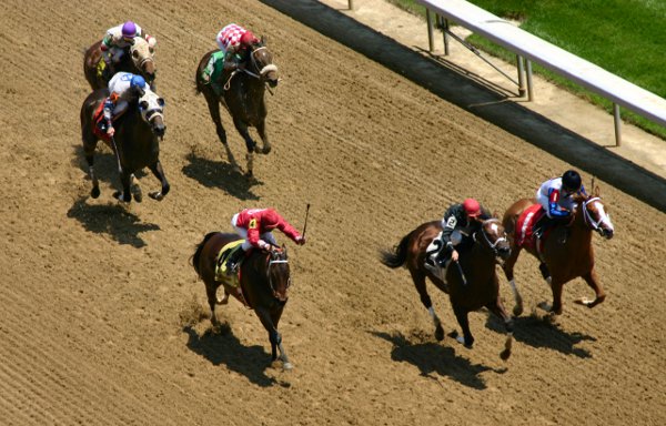 Apostas nas corridas de cavalos